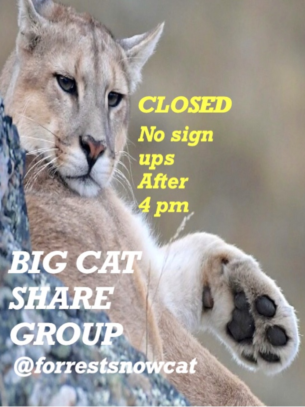 BIG CAT SHARE GROUP  SUNDAY 9/20 CLOSED